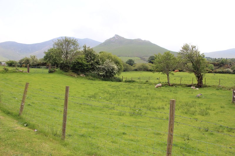 After Banbridge we headed East towards the Mourne Mountains....