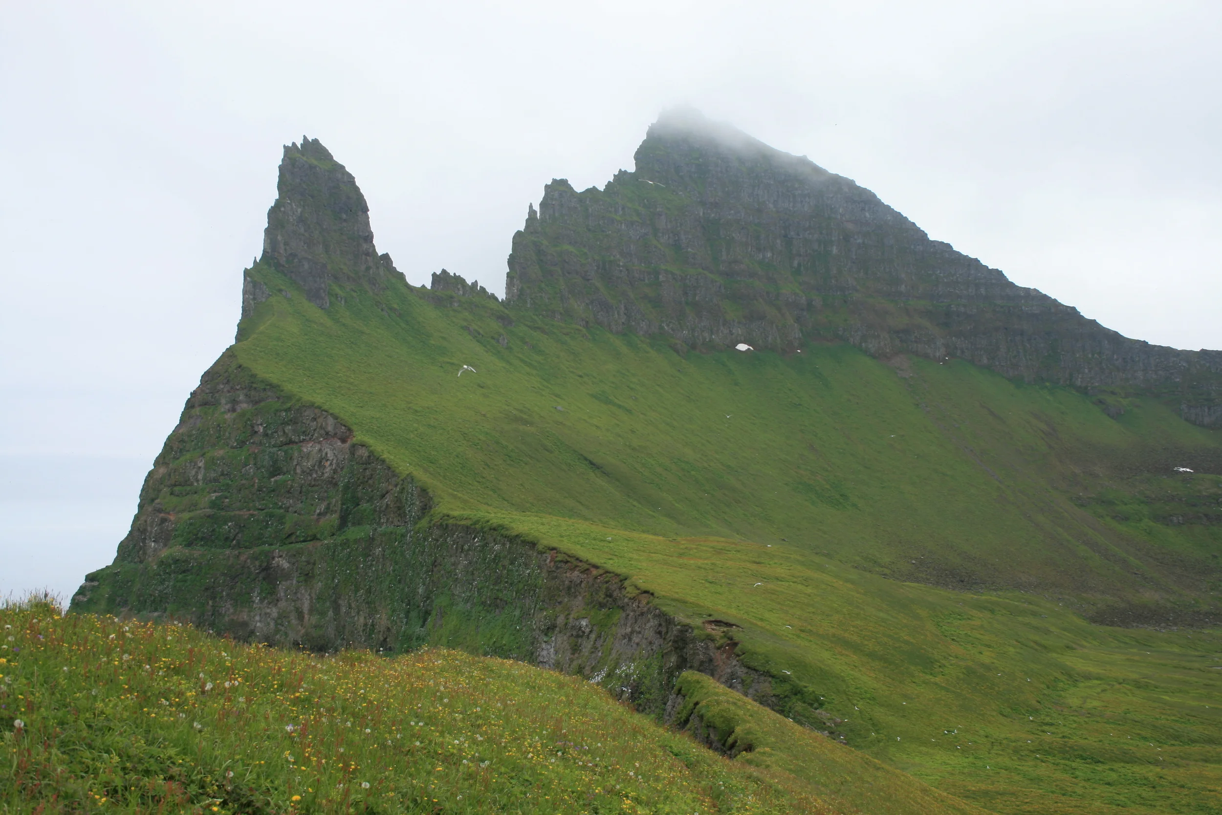 Hornstrandir