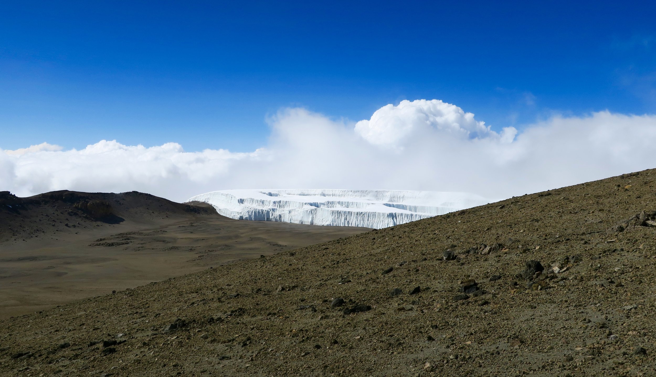 The Northern Ice Field: Kilimanjaro's largest glacier