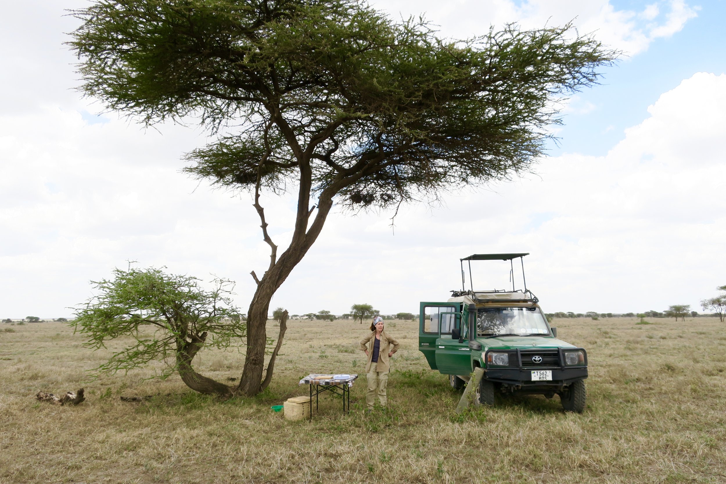 We drove out into the short grass and away from water to stop for lunch. That way, we could see what was coming.