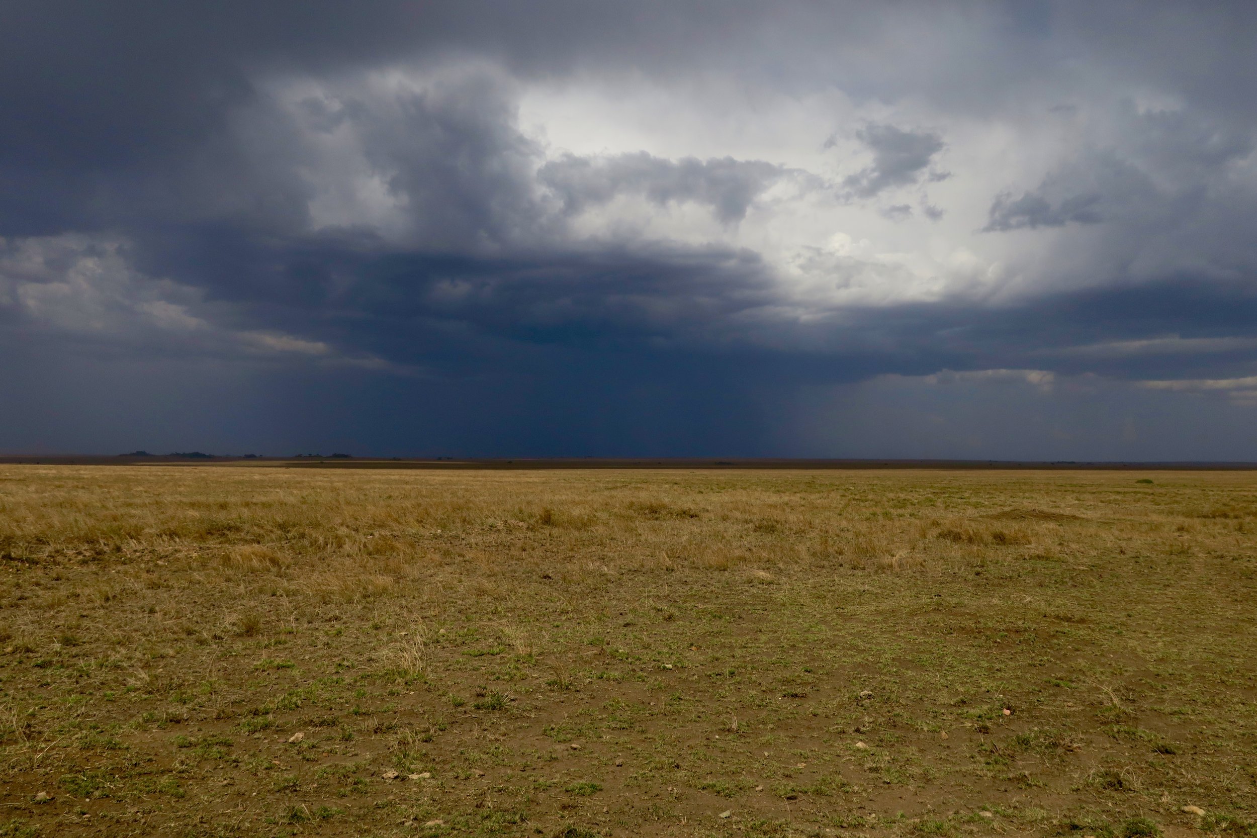 Storm cloulds roll across the Serengeti.