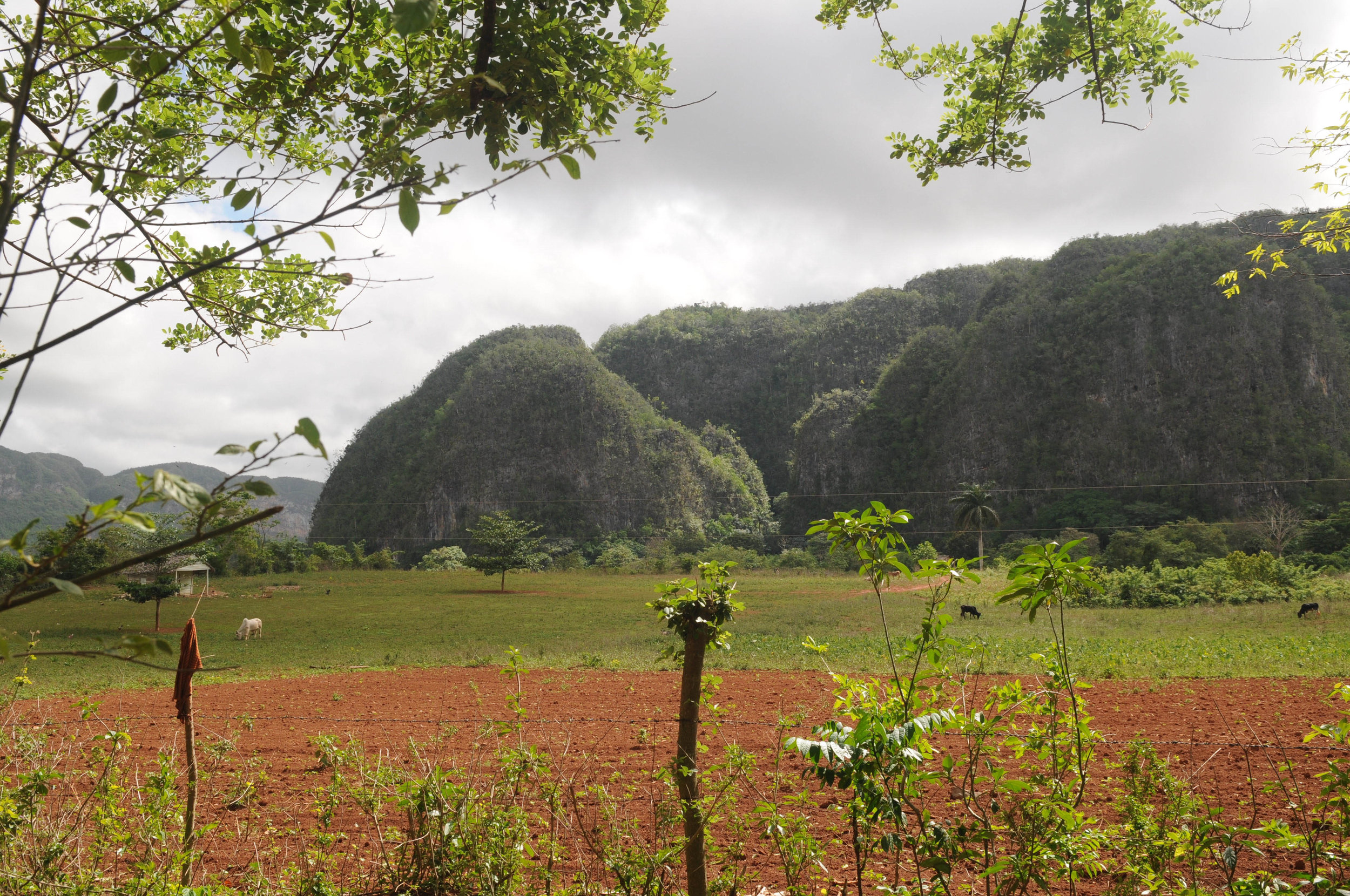 DSC_3291.jpg
