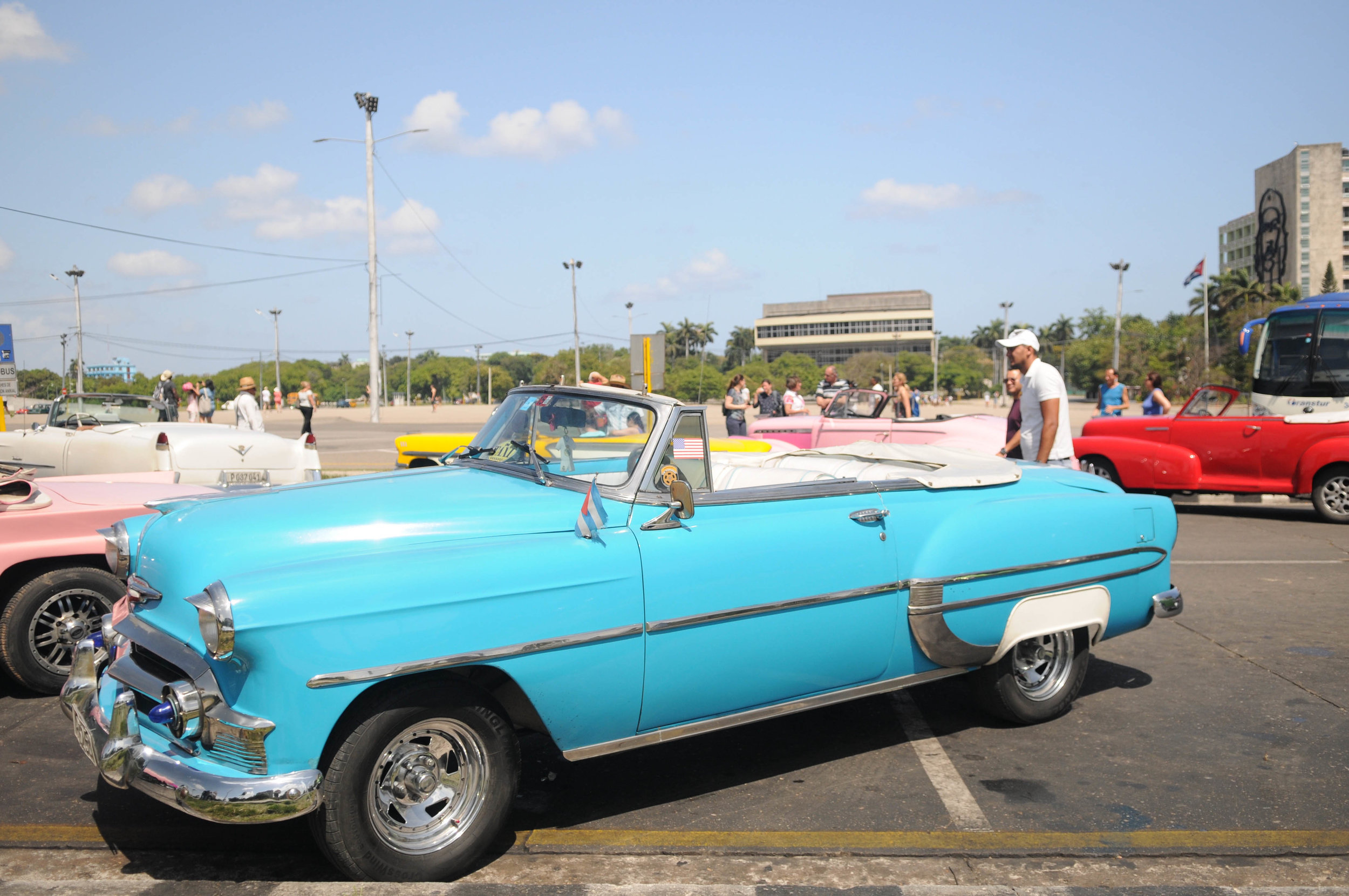 DSC_3365.jpg