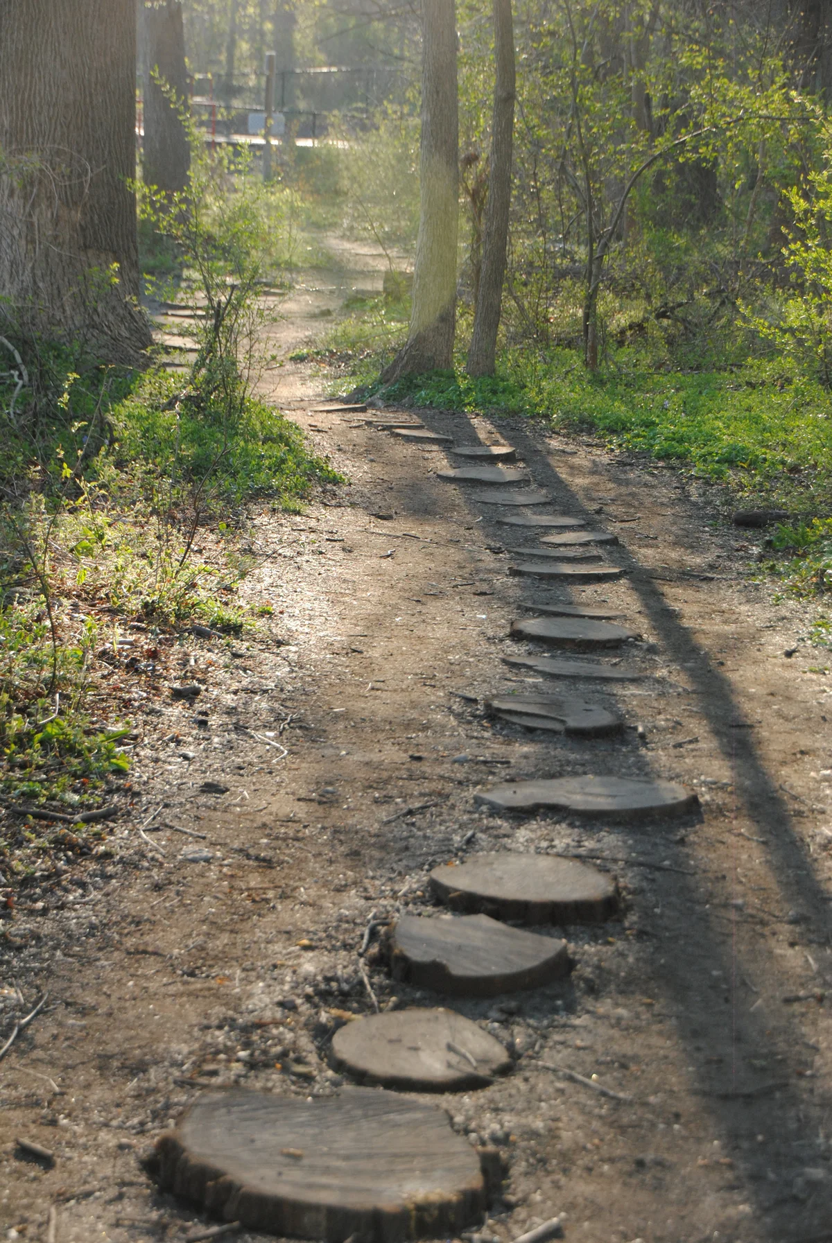 wooded_path.jpg