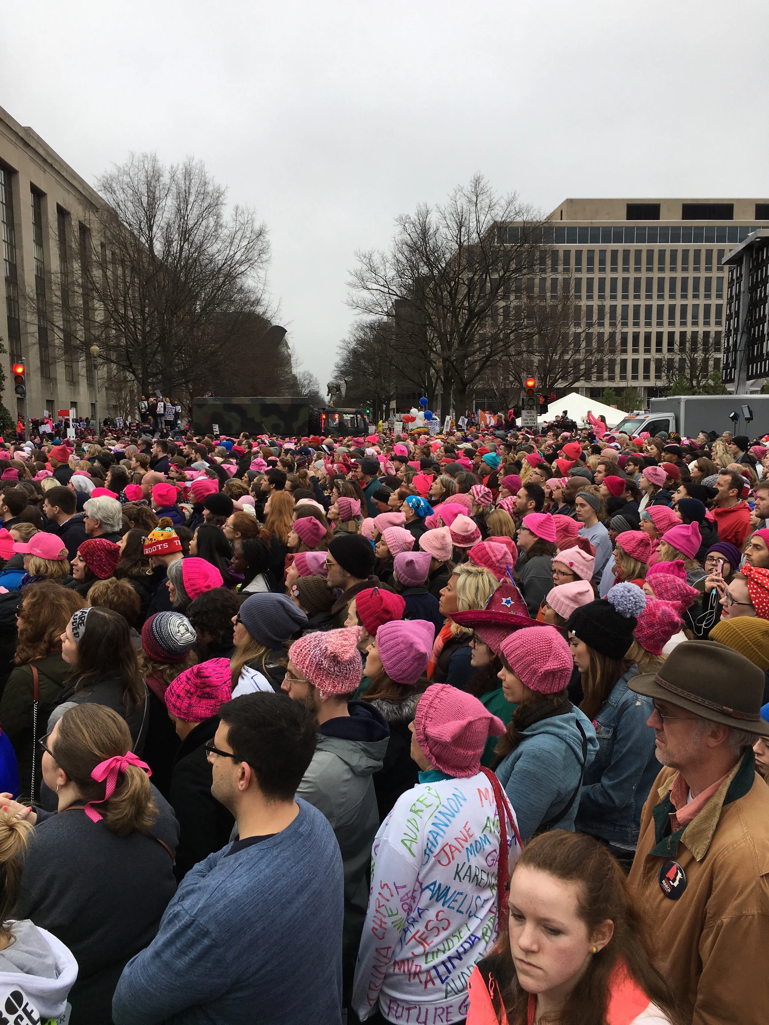 Saving the World - The Women's March on Washington 1/21/17 — Jennifer Downs
