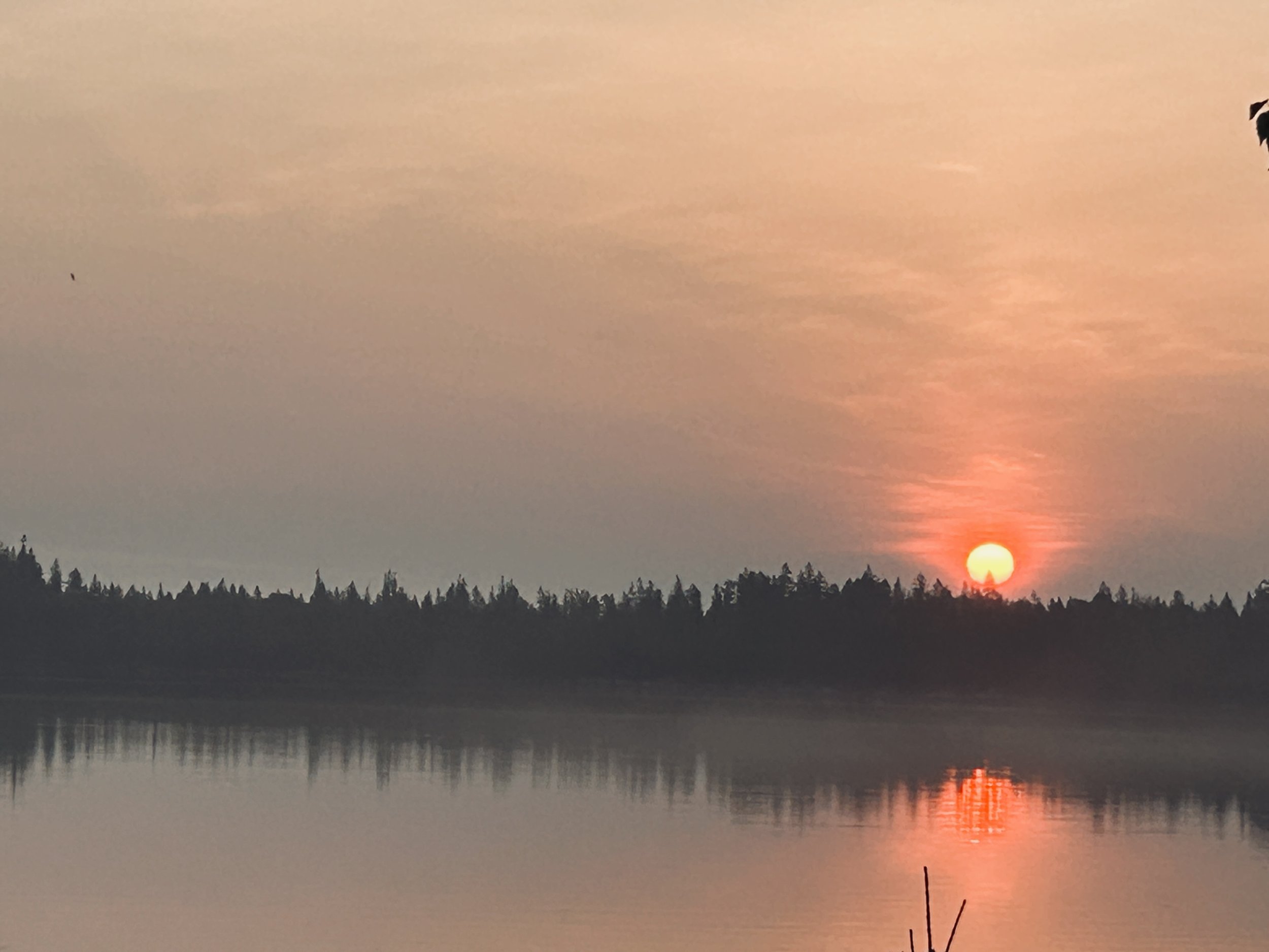 What Now? Meeting the Moment with Creativity and Courage!