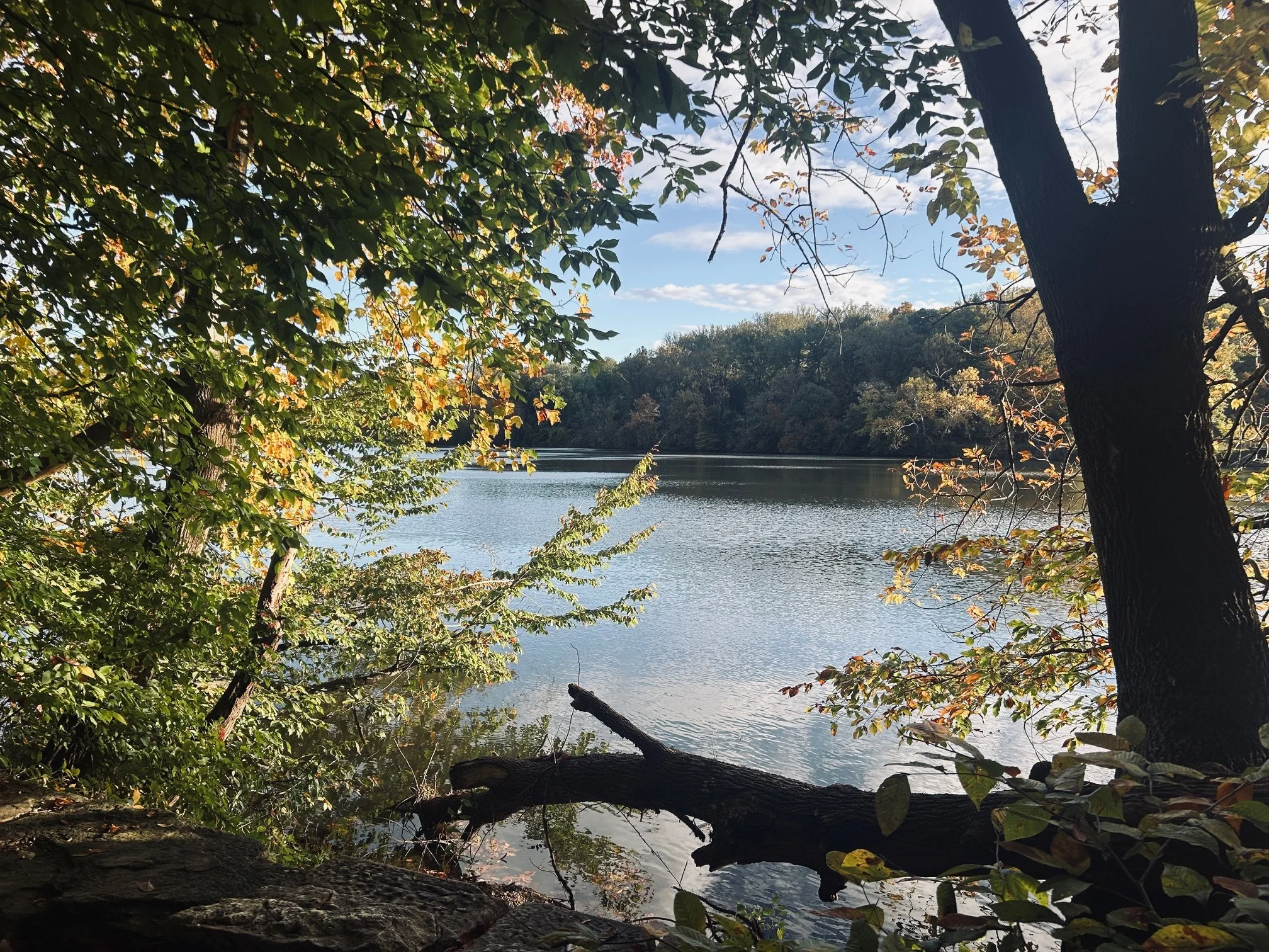 Autumn lake photo.jpeg