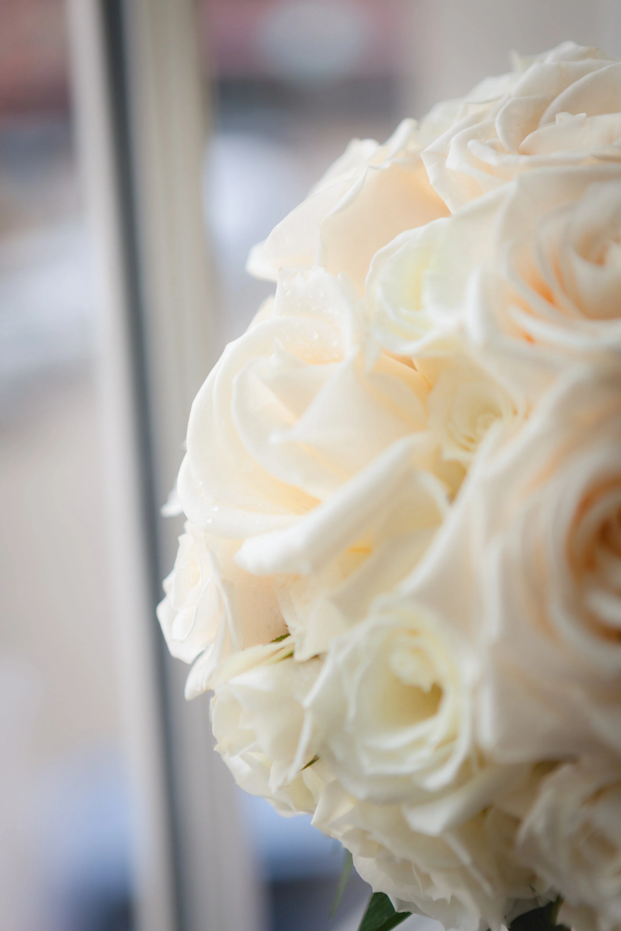 ~ Mr & Mrs Zajicek ~ 1 year ~