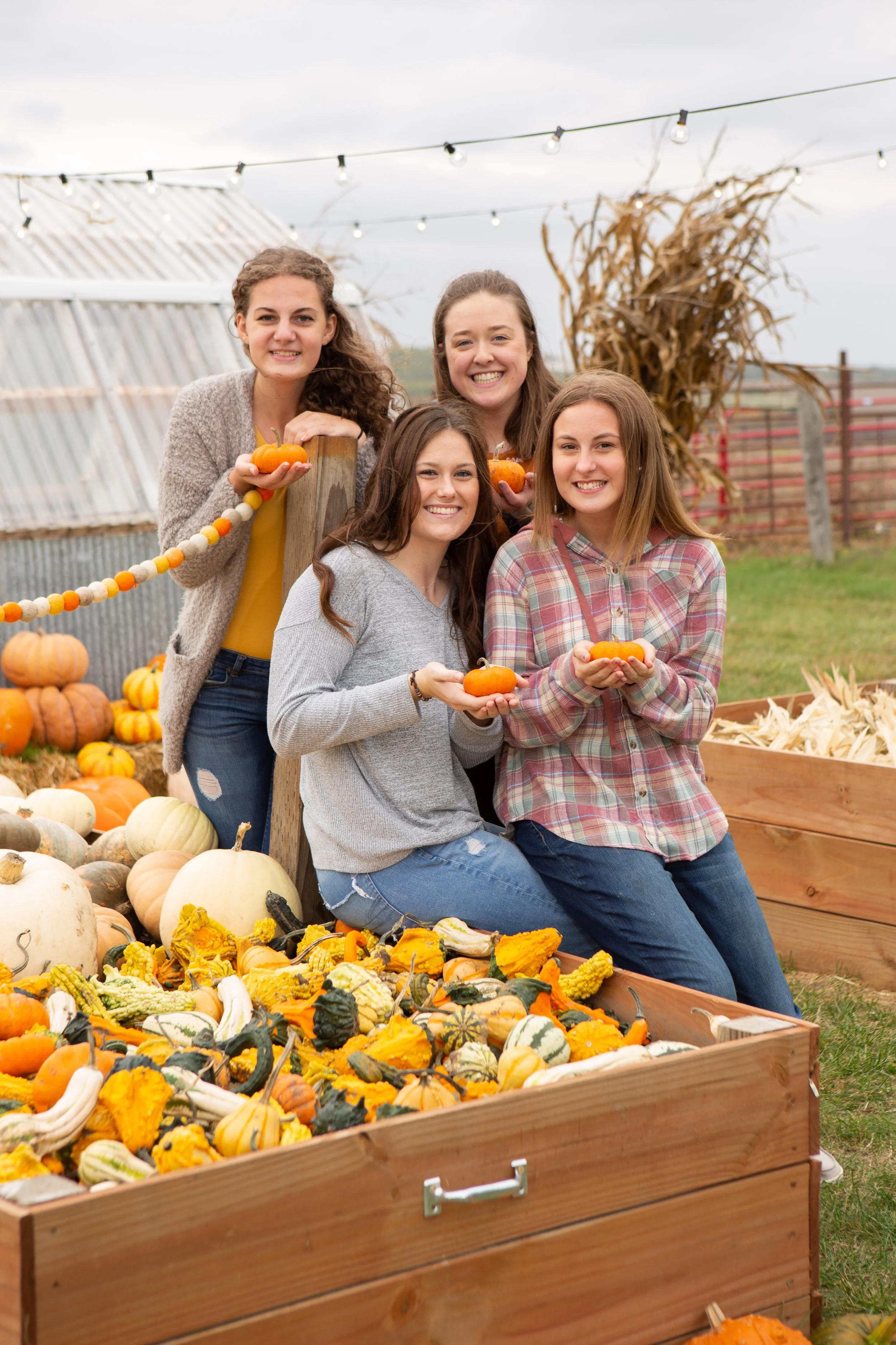 Four teenage girls holding small pumpkins at a pumpkin patch during a Knoxville iowa Mini Session