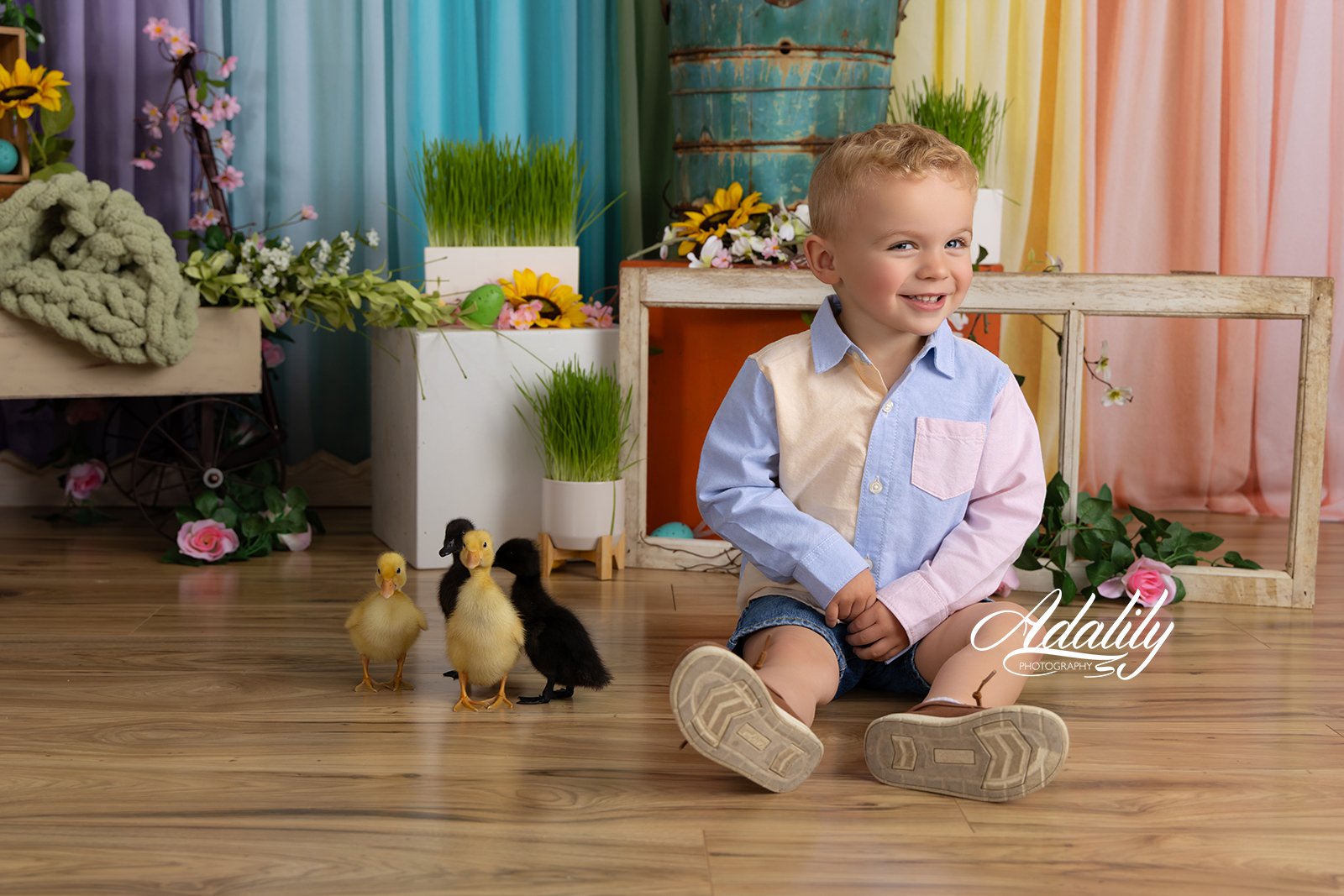 Ducks26-5616_(2) B.jpg