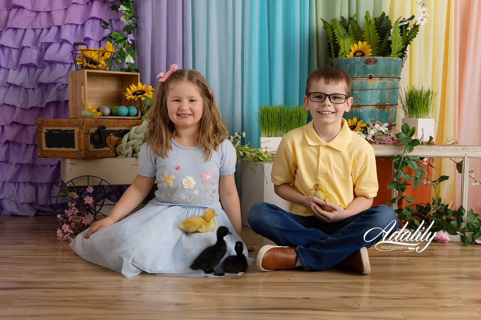 Ducks26-5632_(2) B.jpg