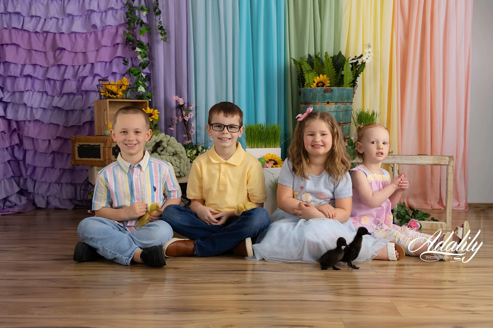 Ducks26-5685_(2) B.jpg