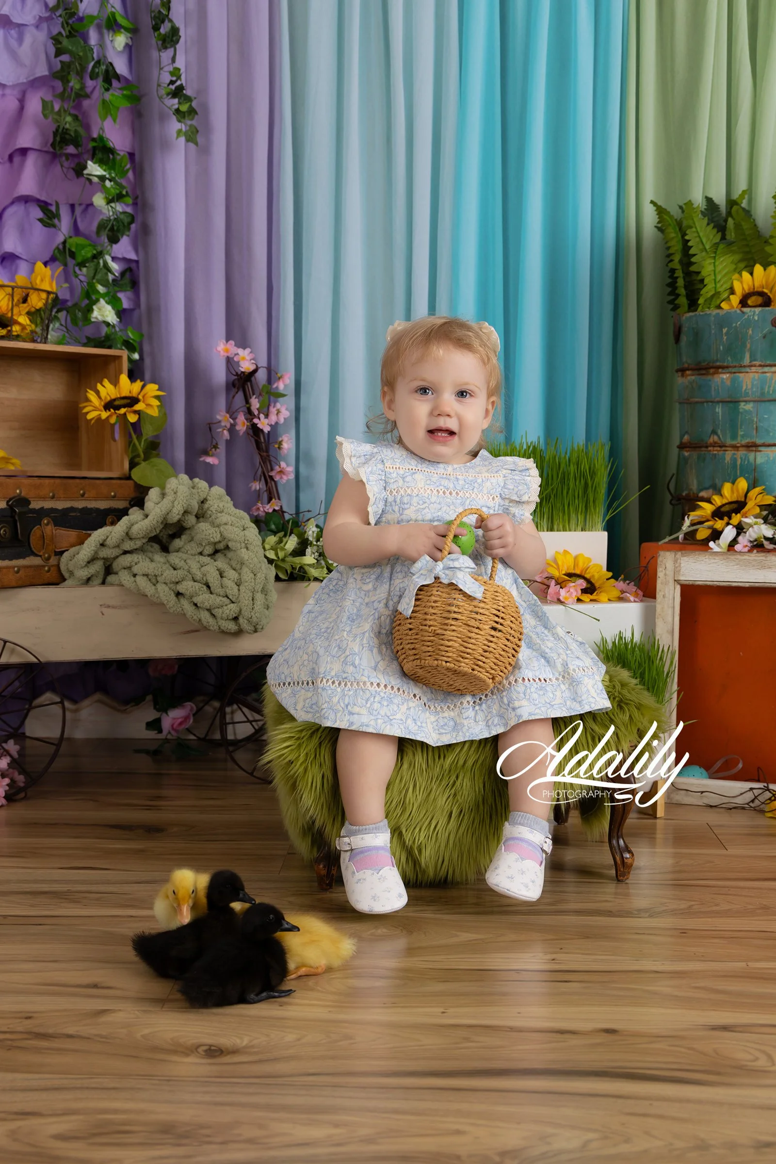 Ducks26-5783_(2) B.jpg