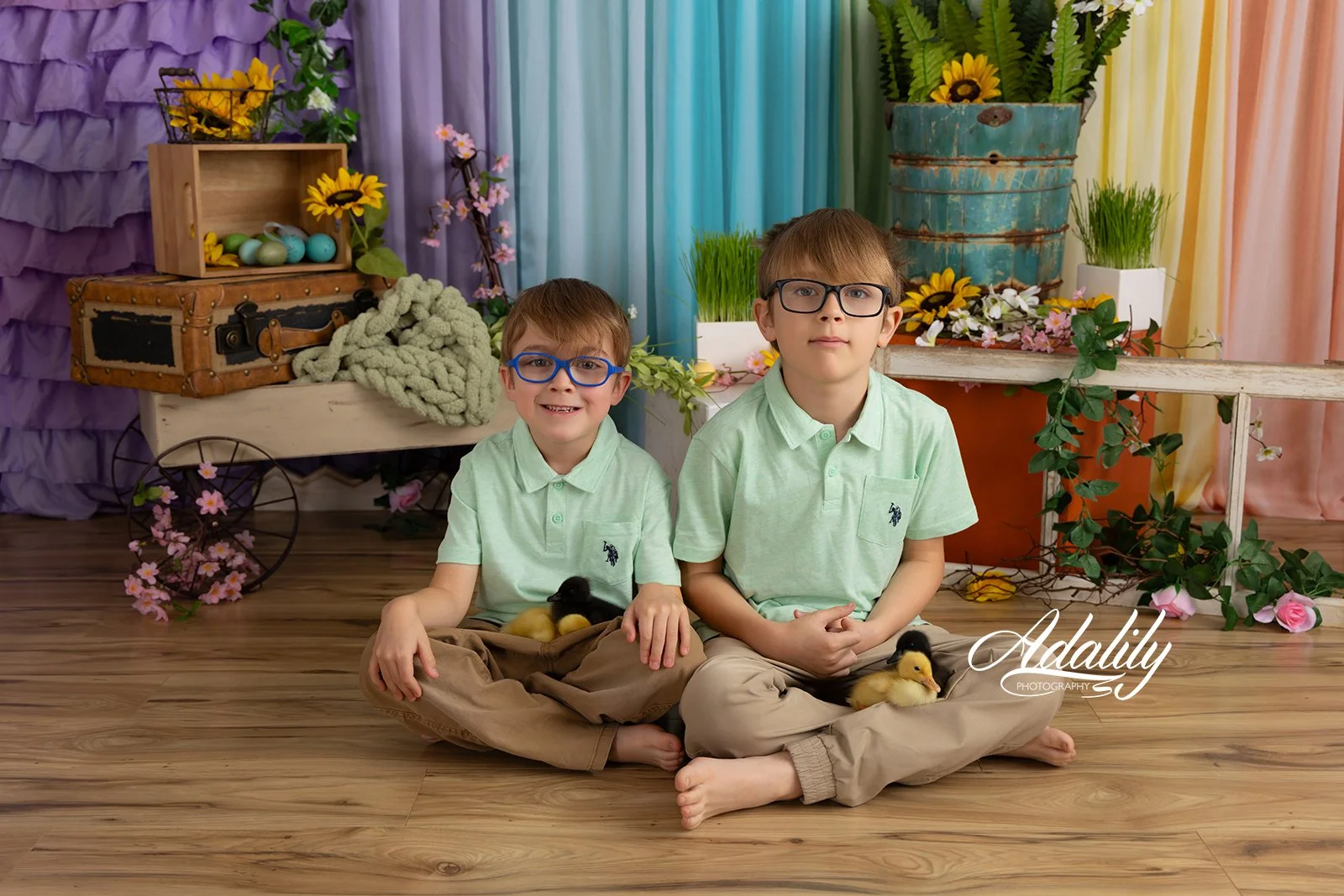 Ducks26-5912_(2) B.jpg