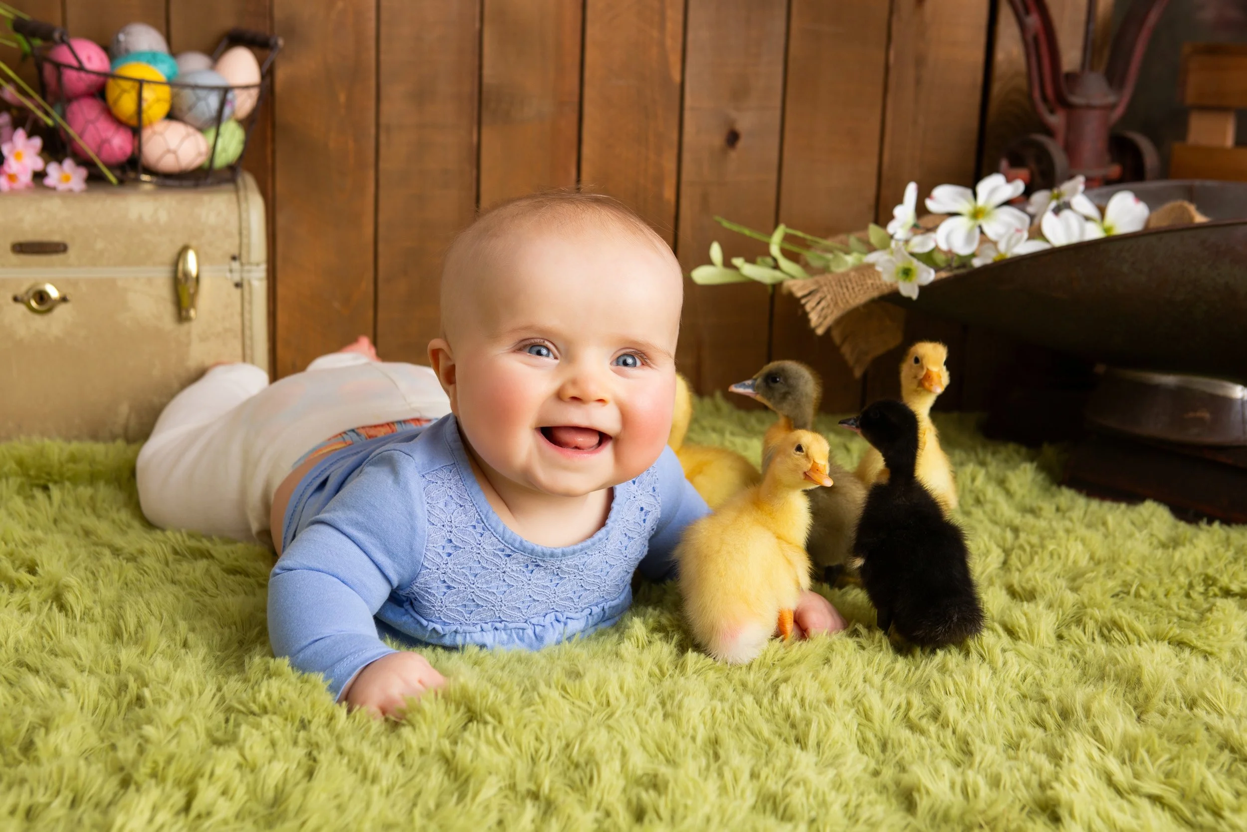 Baby Girl on Tummy surrounded by Baby Ducklings during a Sweet Session at Adalily