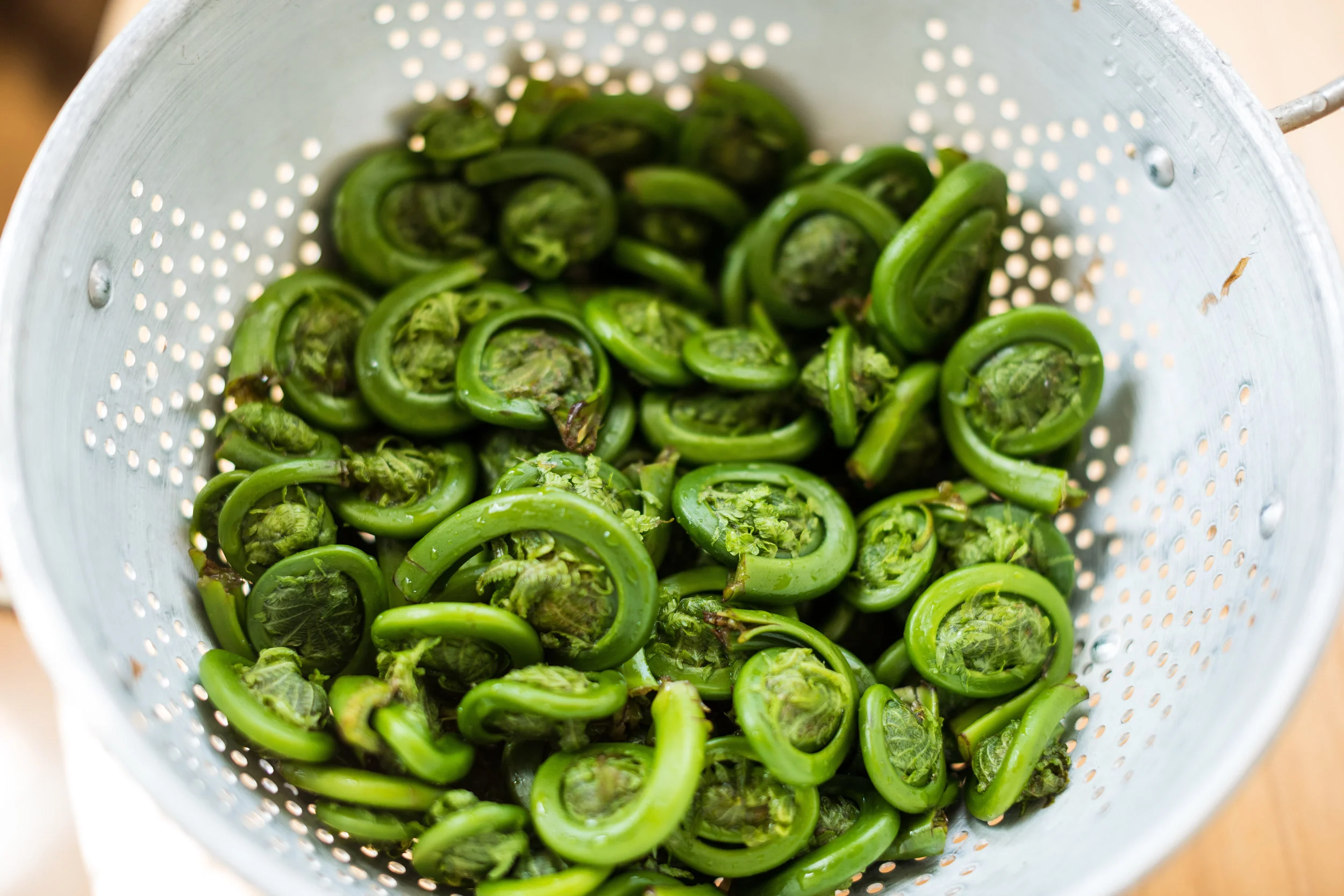 Stir-Fried Fiddleheads with Chili Paste