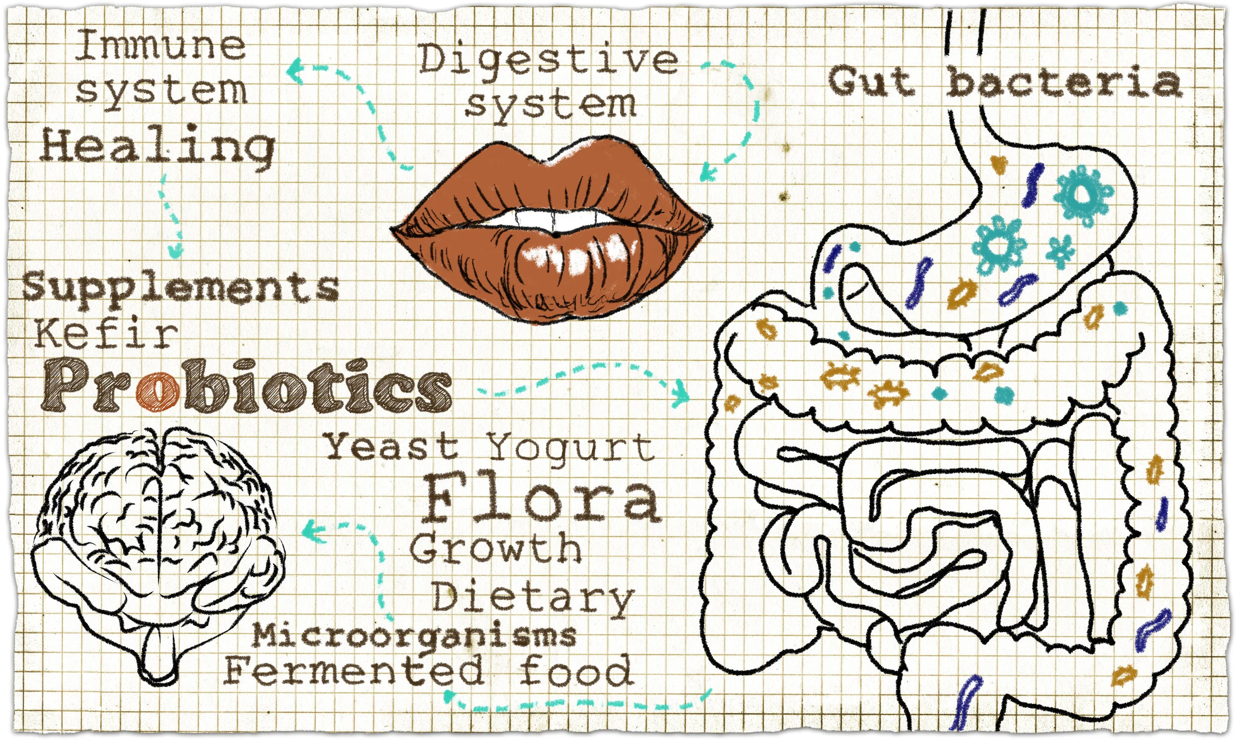 How Do Our Bodies Actually Process Sugar?