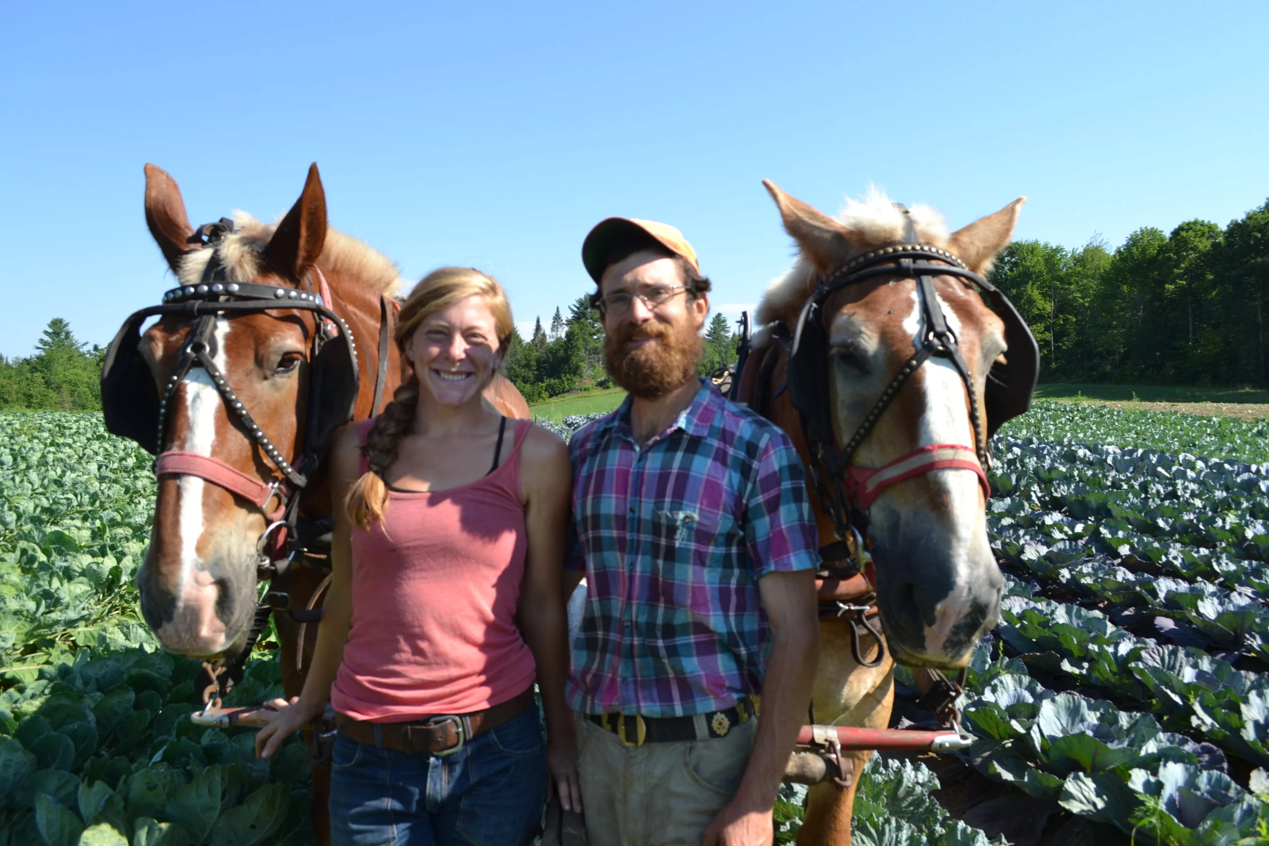 Meet Local Vendor: Ironwood Farm