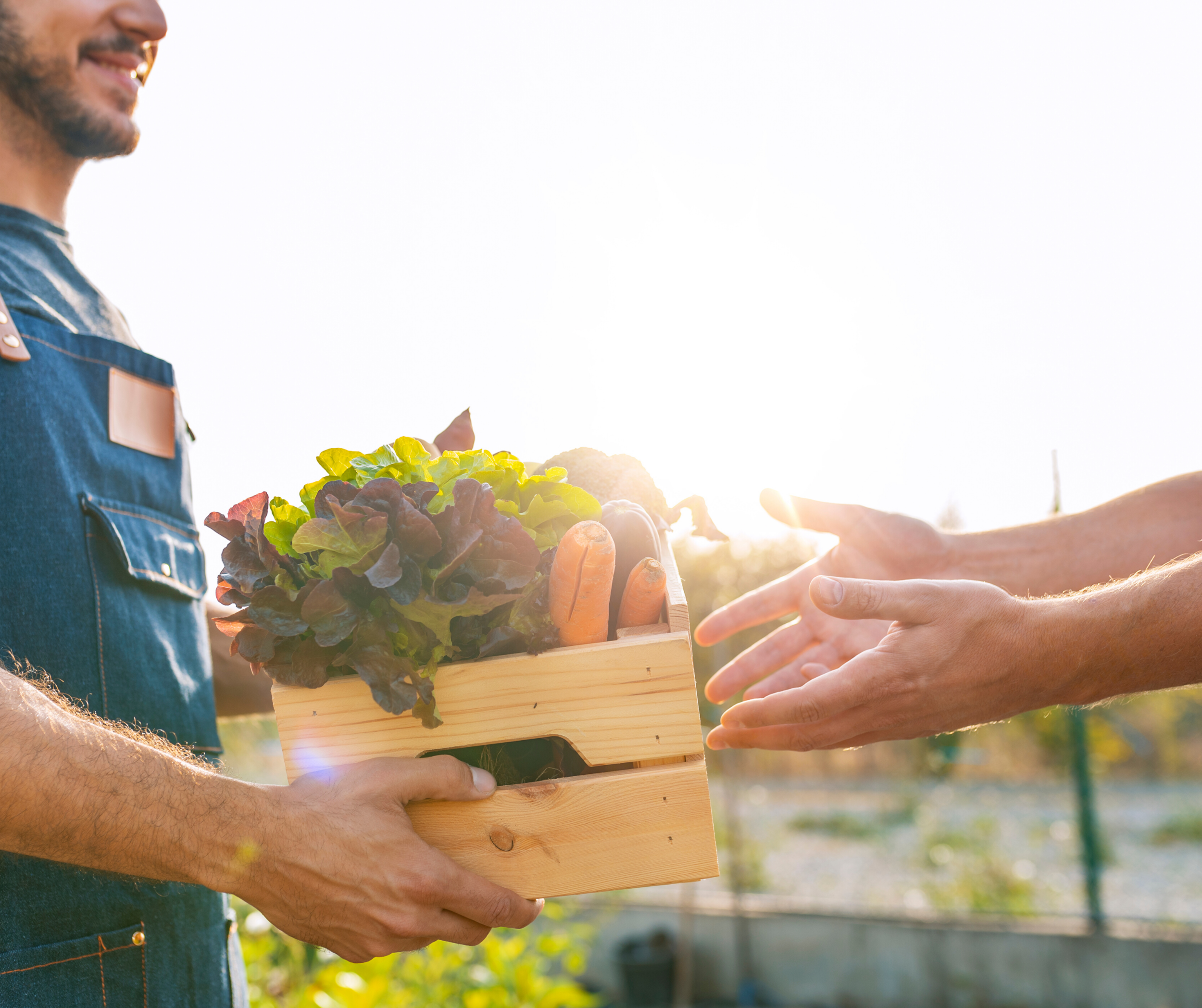 Meet Our Local Vendors!