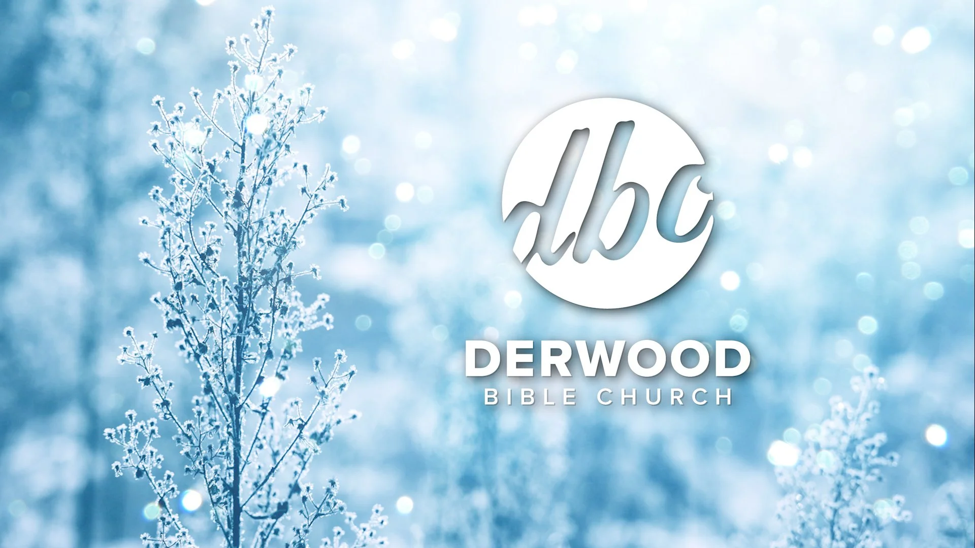 DBC Winter Logo 5.jpg