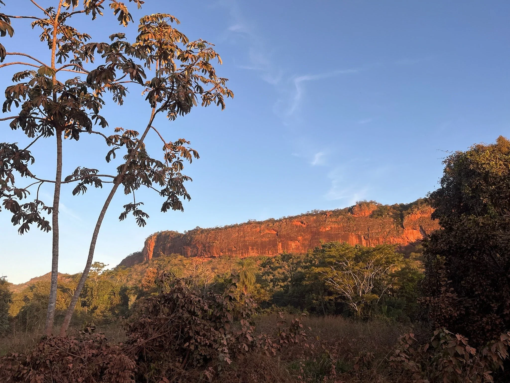 BRAZIL 2025 🇧🇷 - 2297 of 2735.jpeg