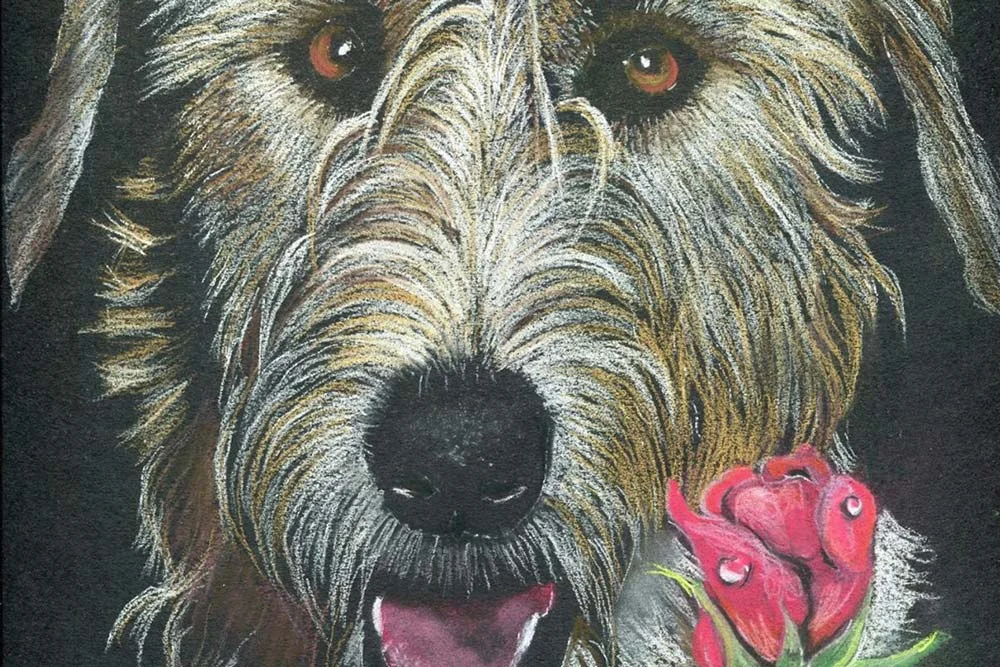 Dog_Portrait.jpg