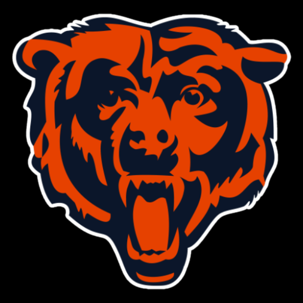 1 Raffle Ticket - Chicago Bears Game