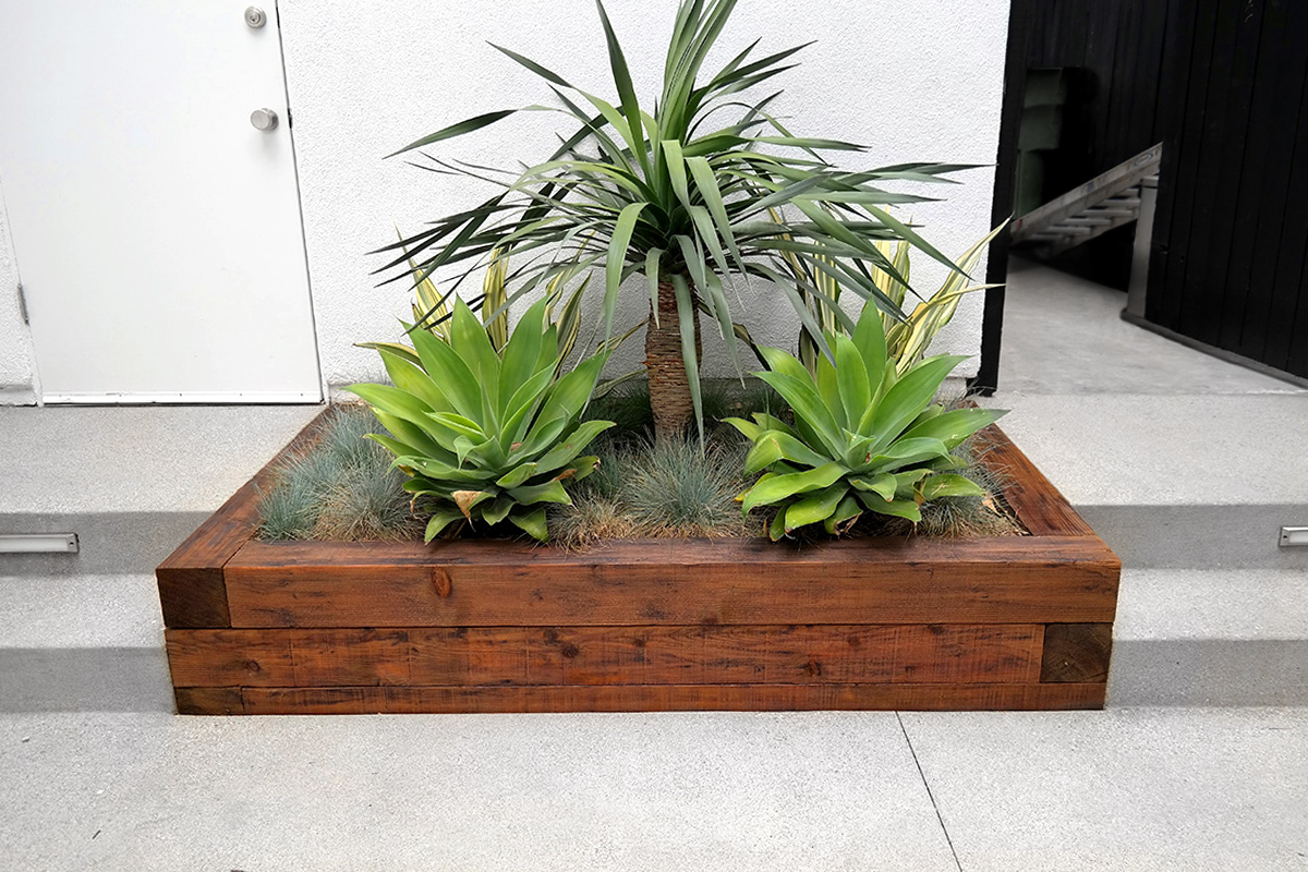 planter fix.jpg