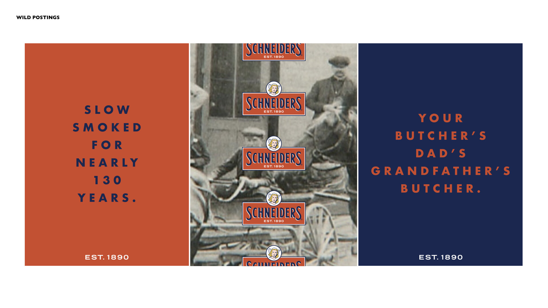 Schneiders - Creative SEPT16.005.jpeg