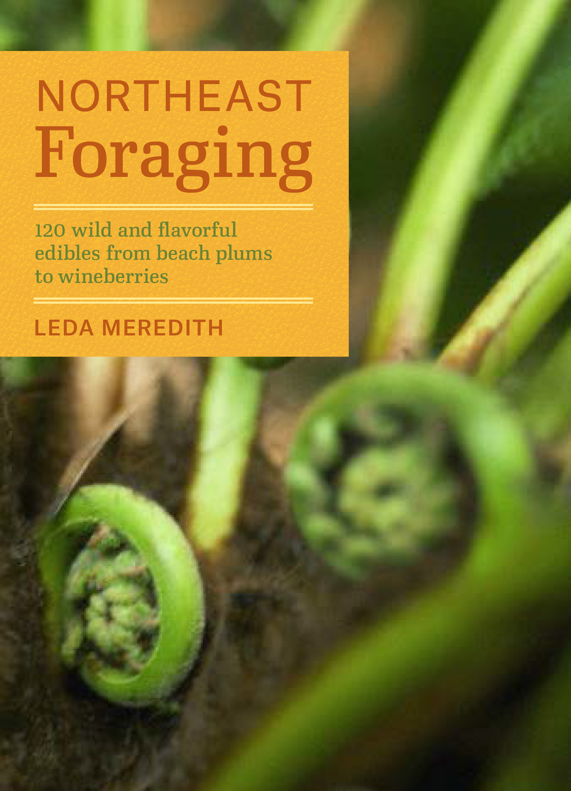 Northeast Foraging_Cover.jpg