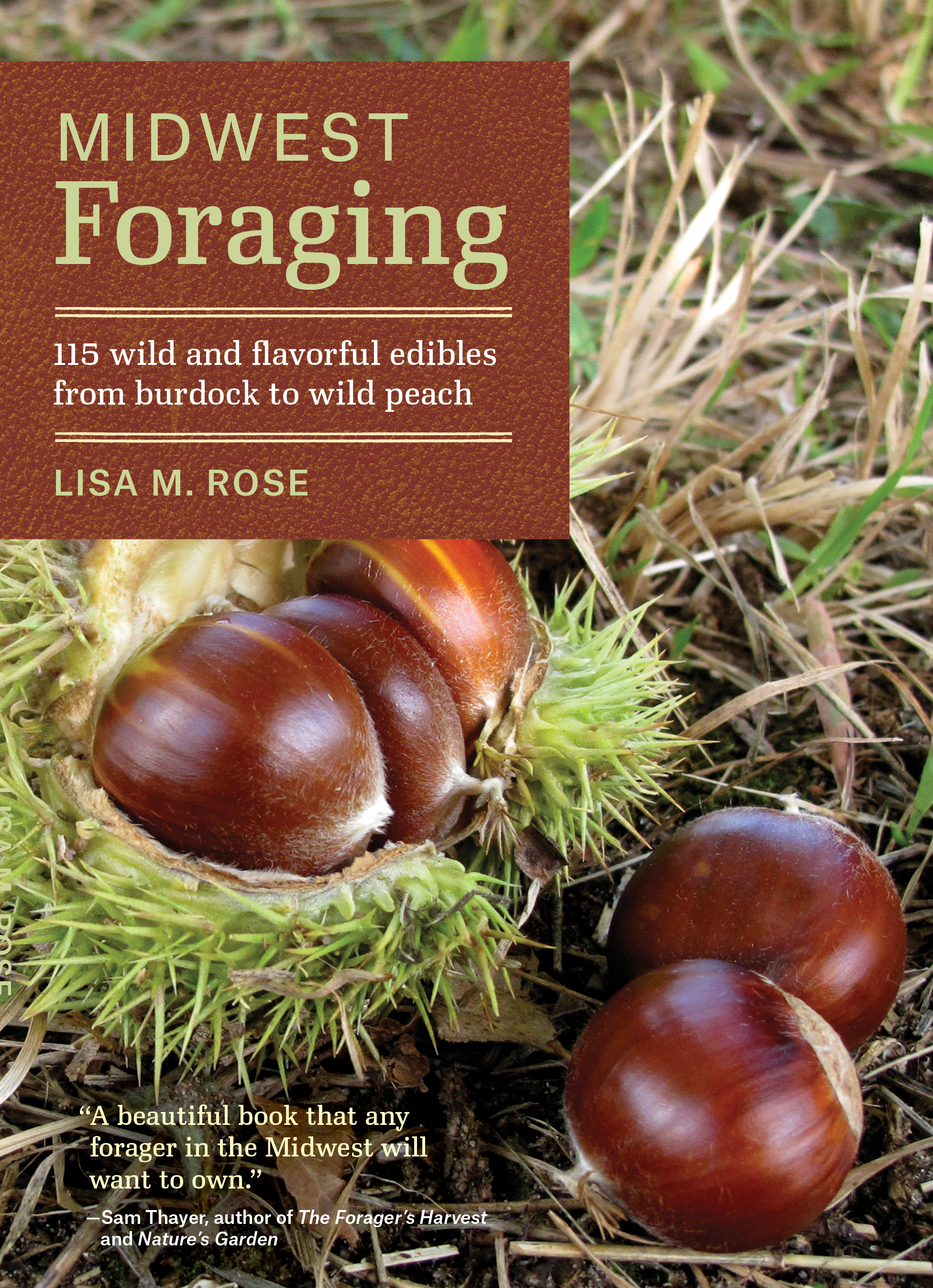 Midwest Foraging_cover.jpg