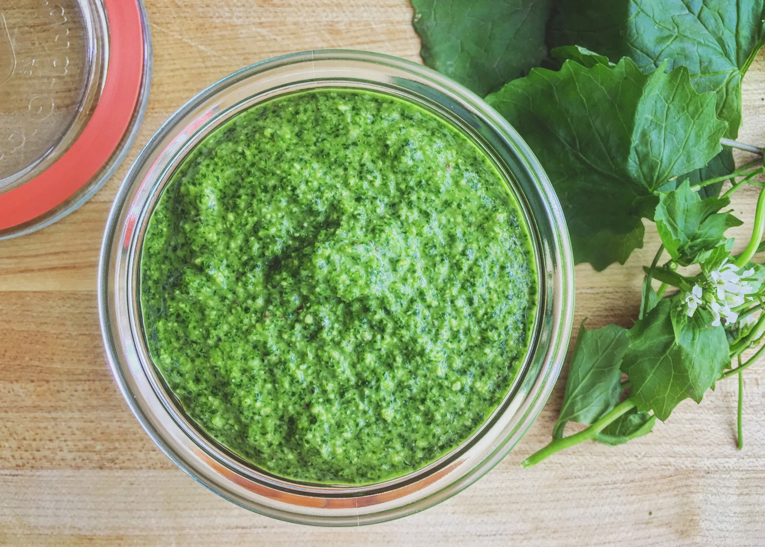 Foraged Garlic Mustard Pesto.jpg