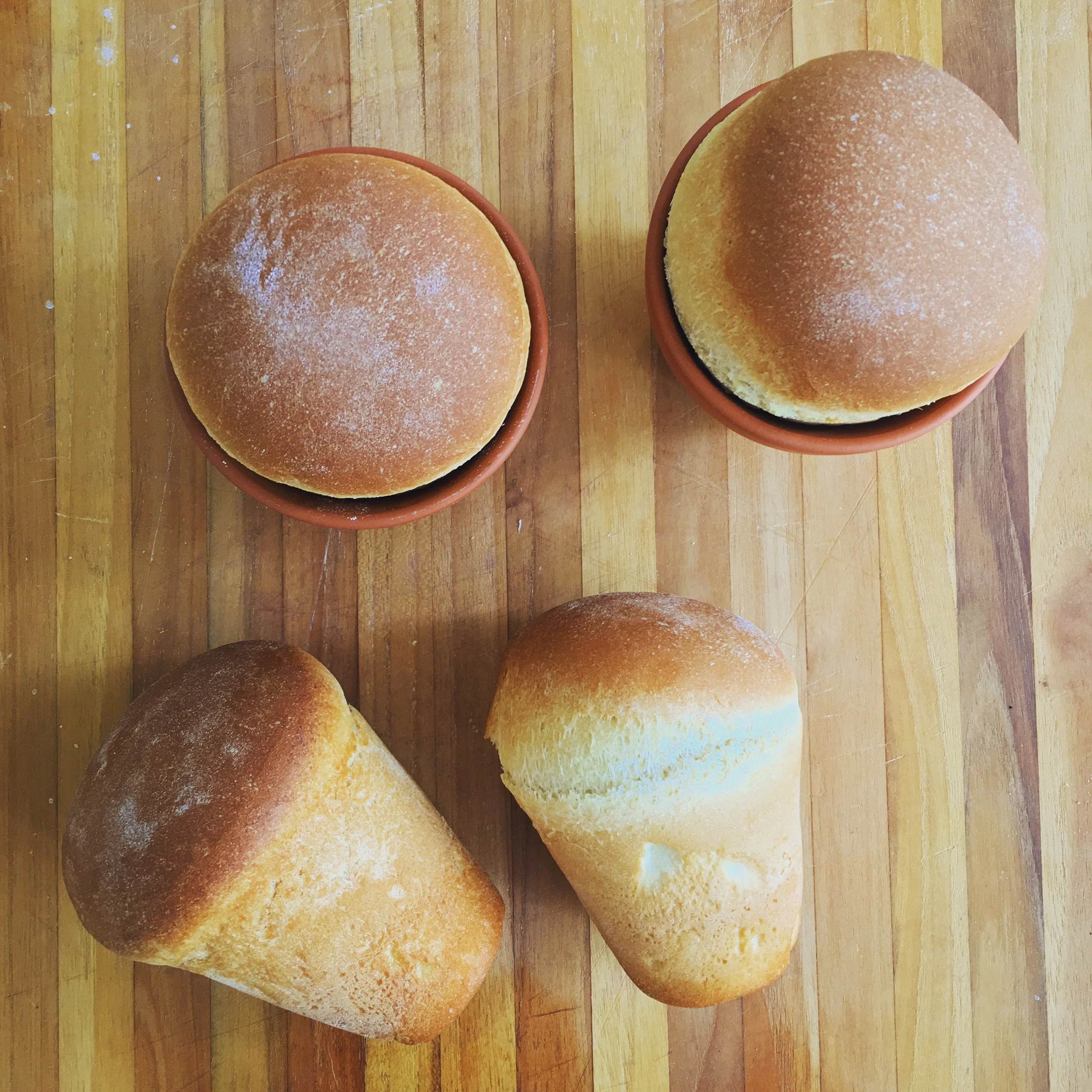 Baking Flower Pot Bread — FarmSteady