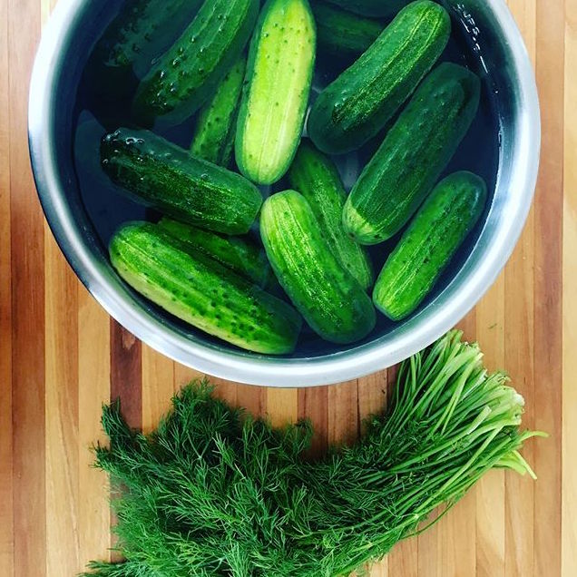 Dill Pickles.jpg