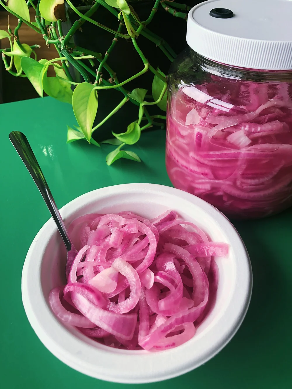 Fermented Red Onions-image