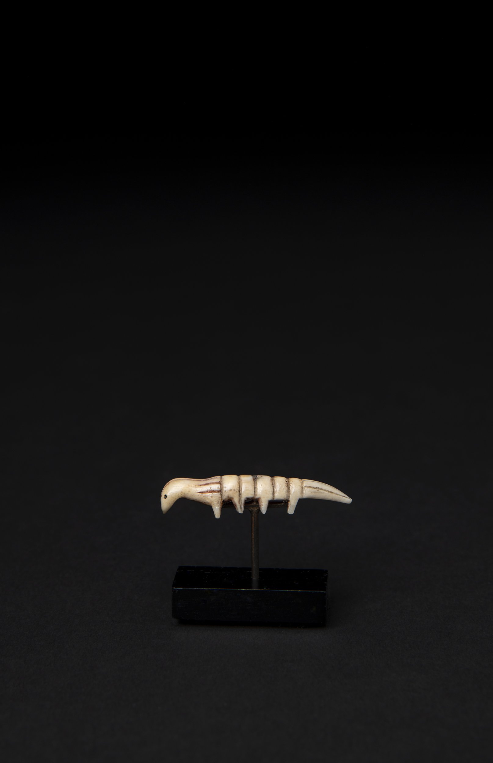 Eskimo Bug Larvae Charm 02.jpg