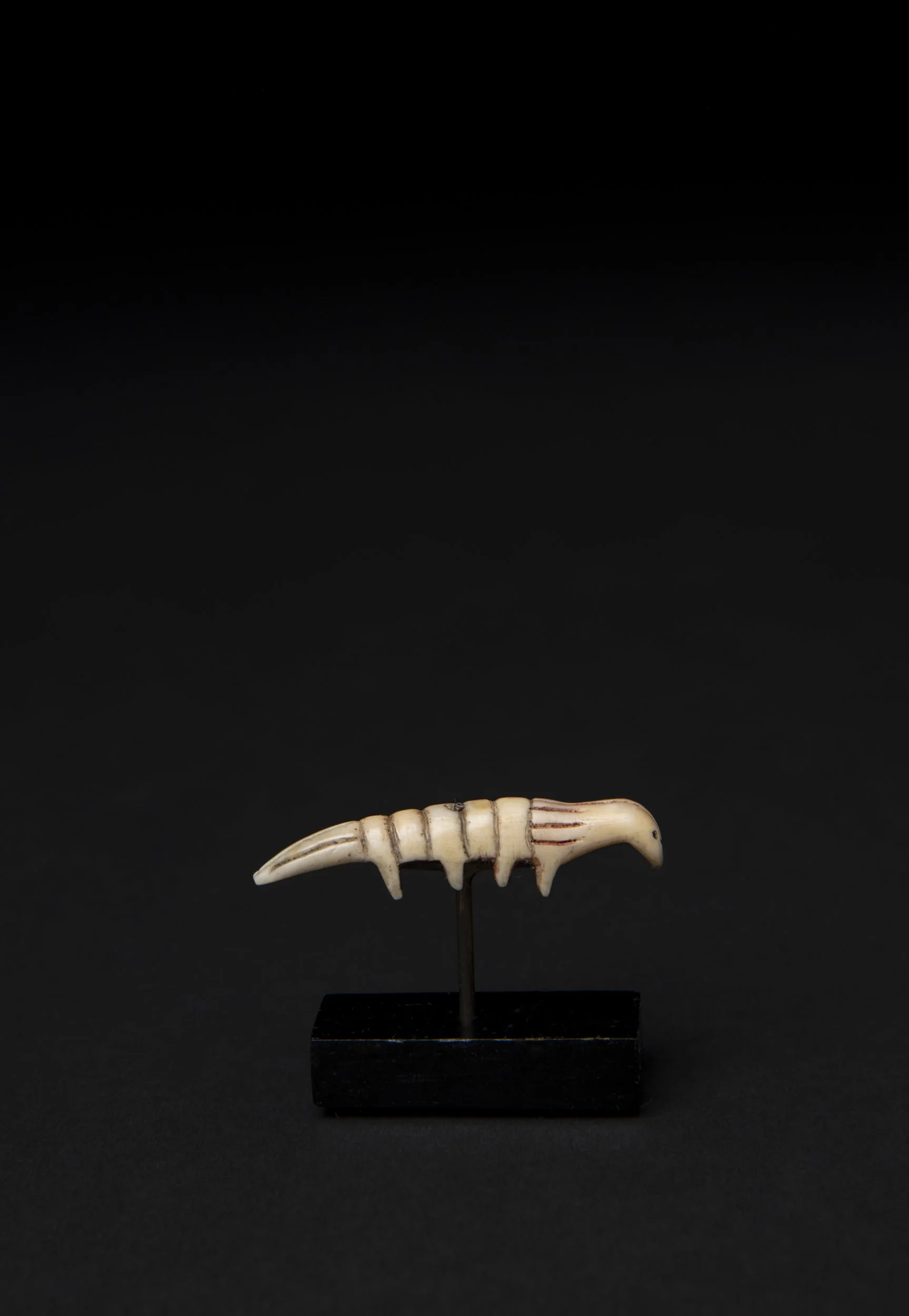 Eskimo Bug Larvae Charm 06.jpg