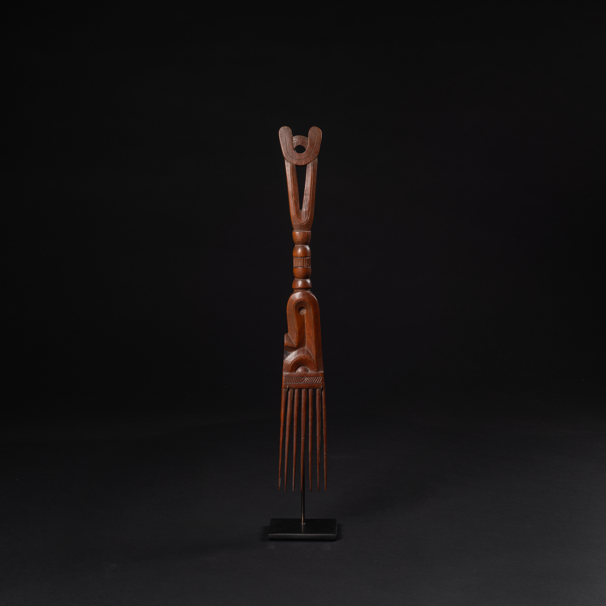 Suriname Comb_01.png