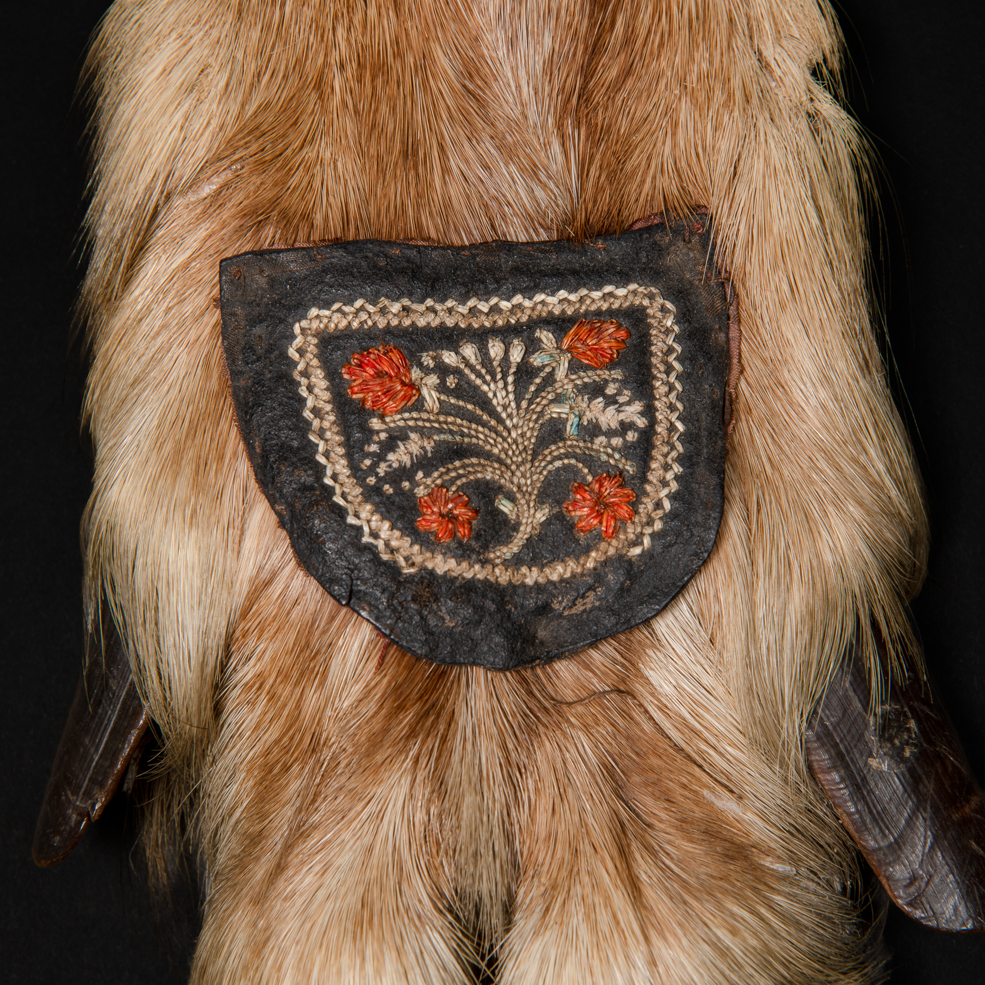 Moose Hoof_decorated_04.png