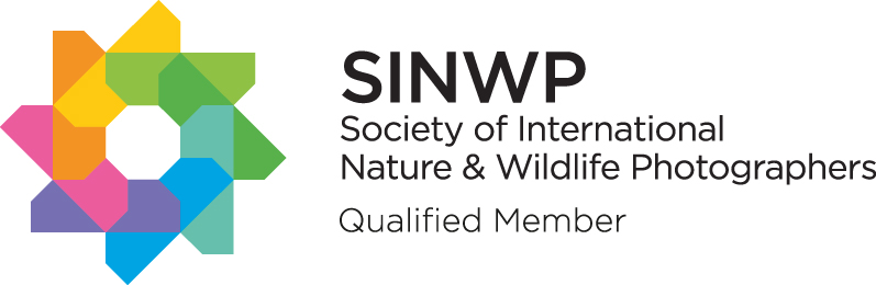 The Society of International Nature & Wildlife Photographers