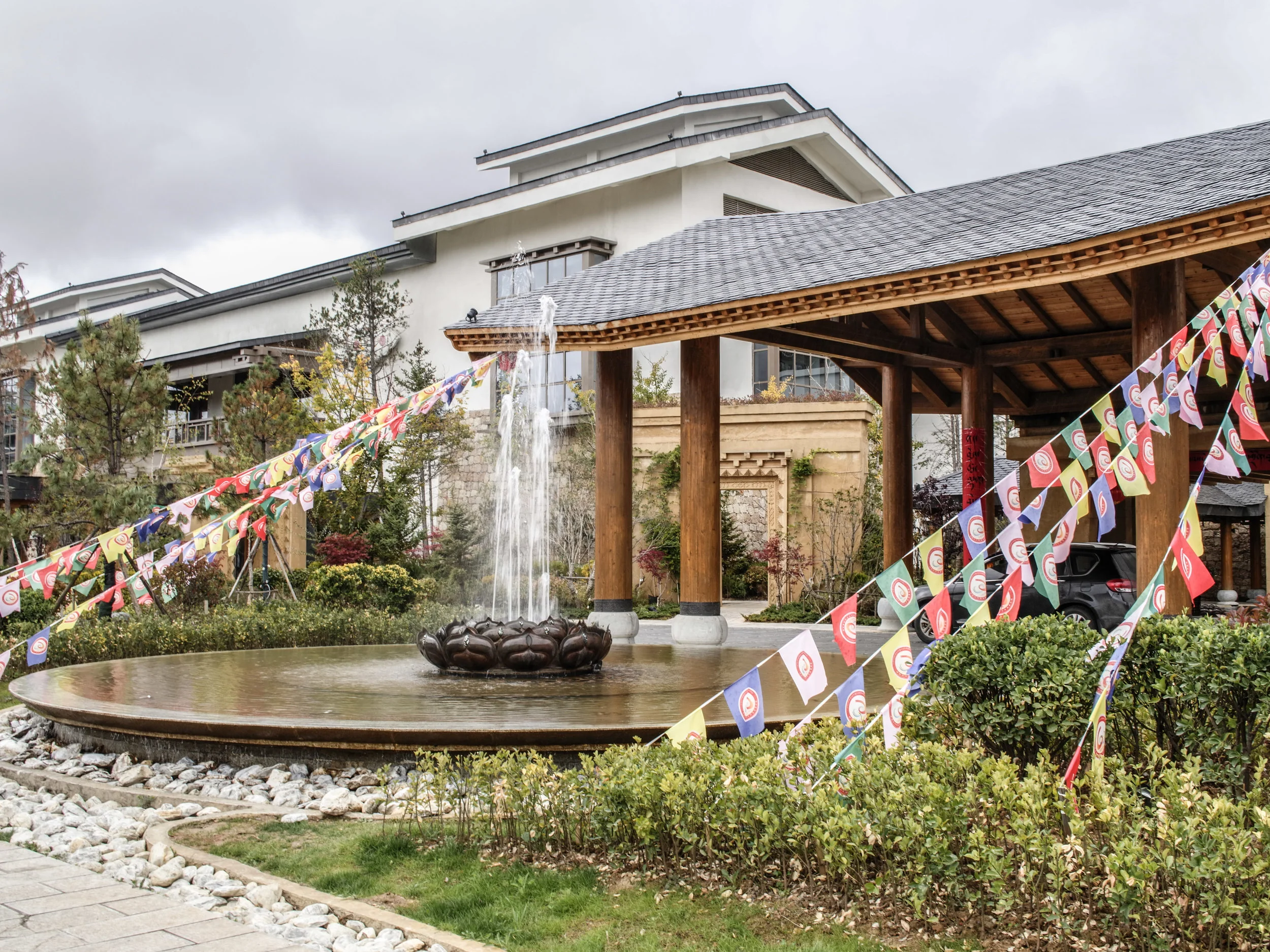 Hylandia Shangri La