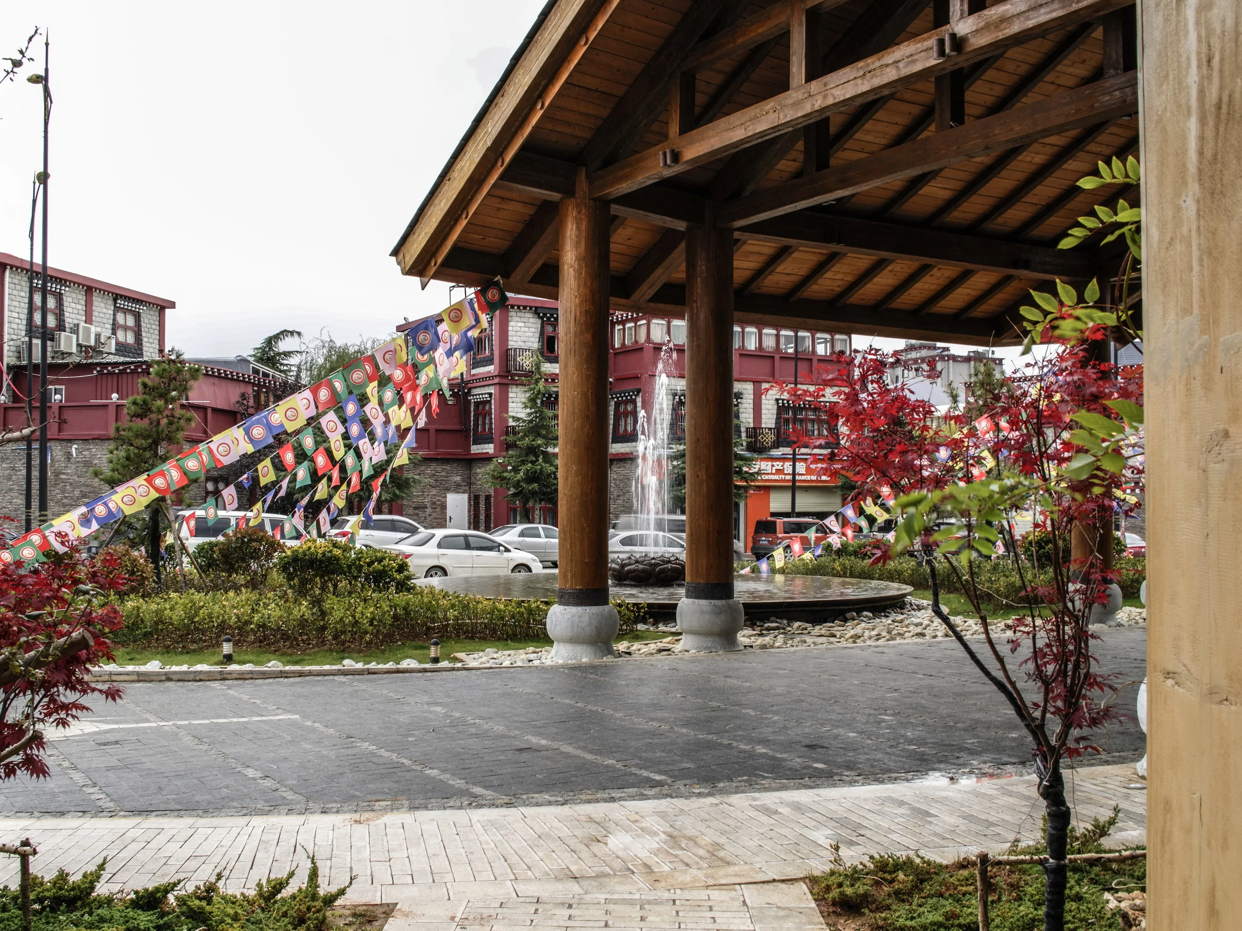 Hylandia Shangri La