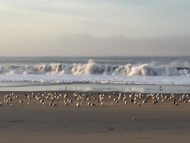 IMG_0641.jpeg