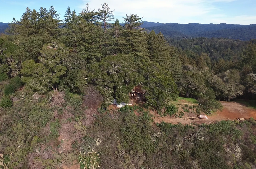 DJI_0005.jpg