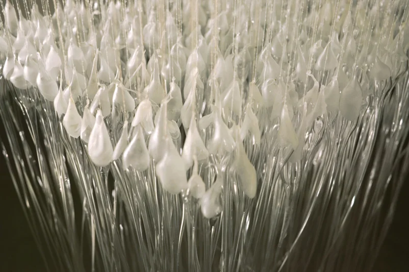 Untitled Installation / detail 2