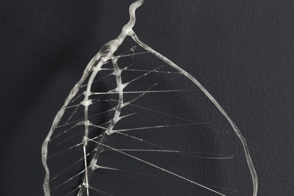 Dust Chrysalis / detail
