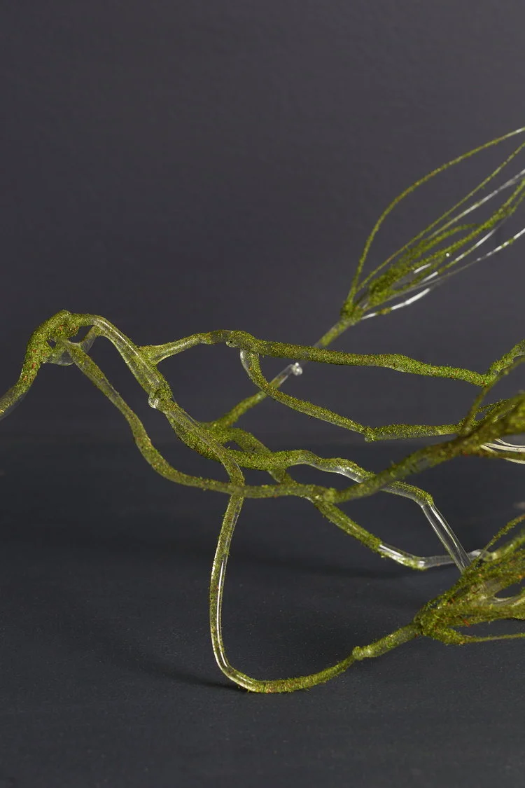Moss Branch / detail