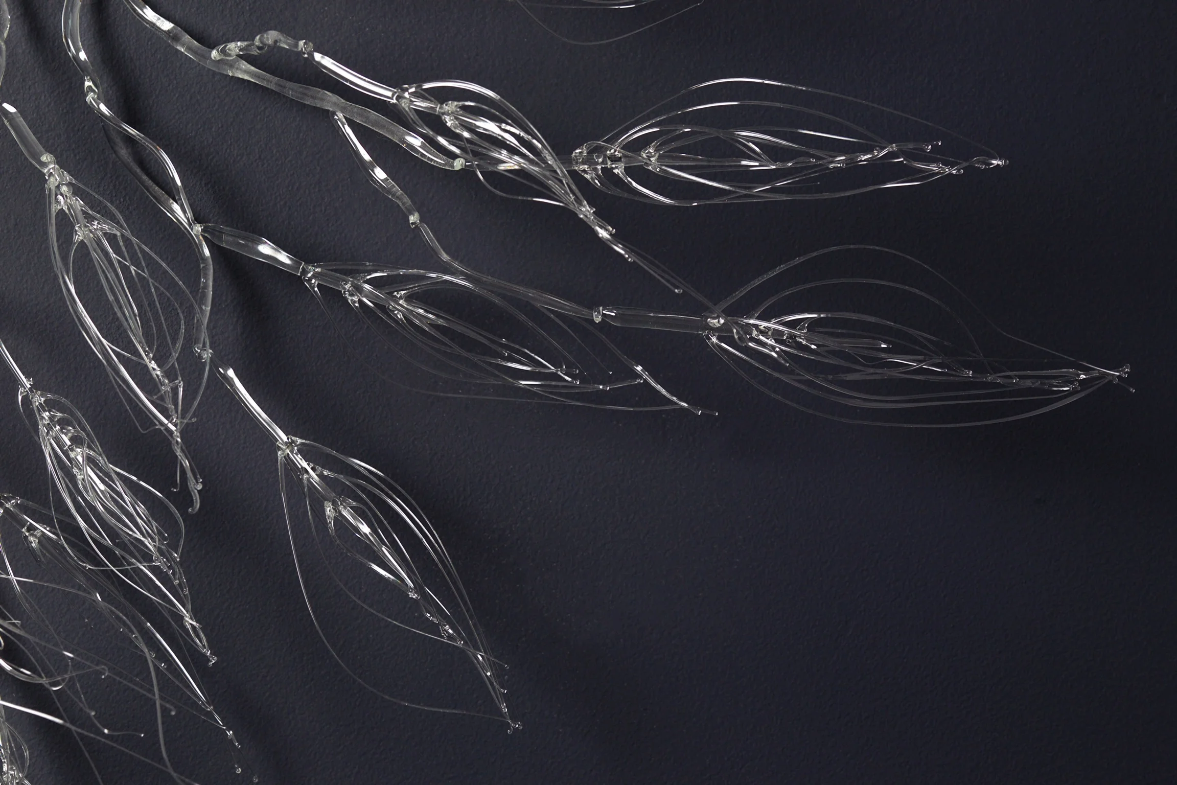 Cleared Branches / detail