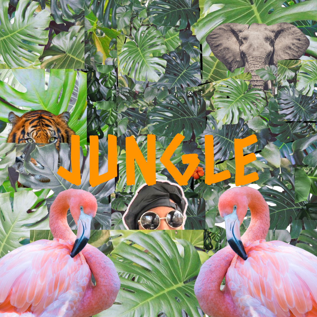 ReedtheInfinite "Jungle"