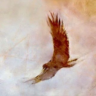 Matthew 11:12 "Desert Eagle"